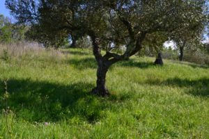 DSC_0616_WEB